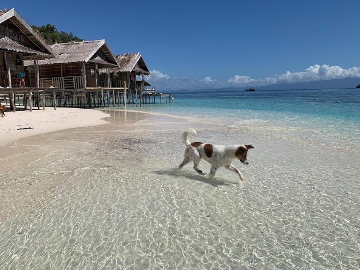 Nus Homestay Raja Ampat Kri Extérieur photo